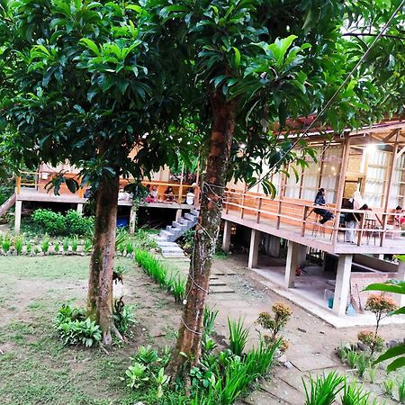 Bua Guesthouse Tangkahan Екстериор снимка